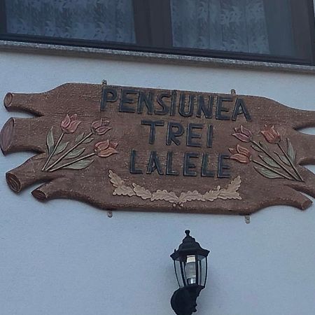 Pensiunea Trei Lalele مويزي المظهر الخارجي الصورة