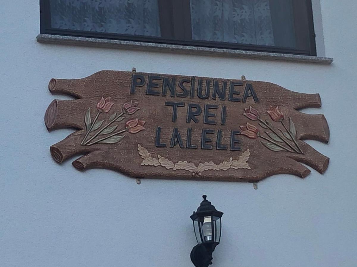Pensiunea Trei Lalele مويزي المظهر الخارجي الصورة